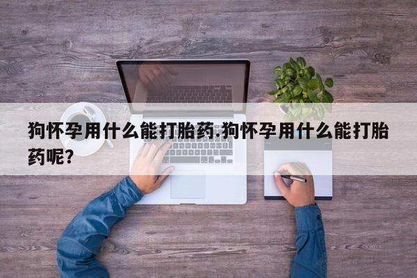 米非司酮片多少钱一盒狗怀孕用什么能打胎药.狗怀孕用什么能打胎药呢？