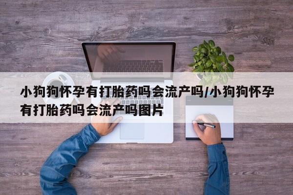 米非司酮片多少钱一盒小狗狗怀孕有打胎药吗会流产吗/小狗狗怀孕有打胎药吗会流产吗图片