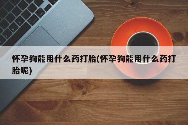米非司酮片多少钱一盒怀孕狗能用什么药打胎(怀孕狗能用什么药打胎呢)